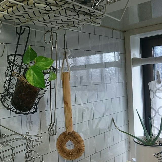 キッチン/観葉植物/100均のインテリア実例 - 2020-02-27 13:27:57