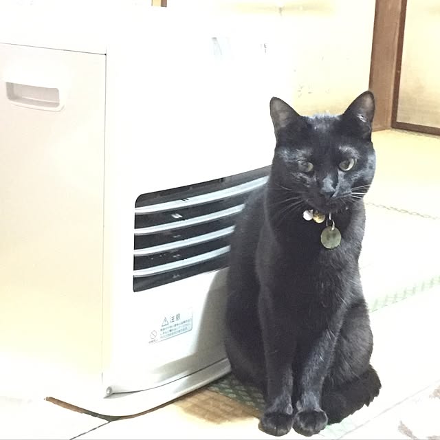 mugiさんの実例写真