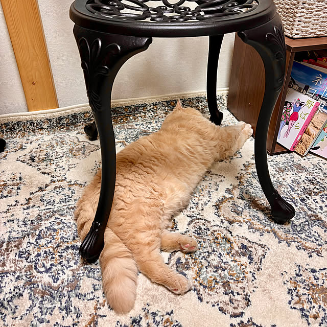 naokoさんの実例写真