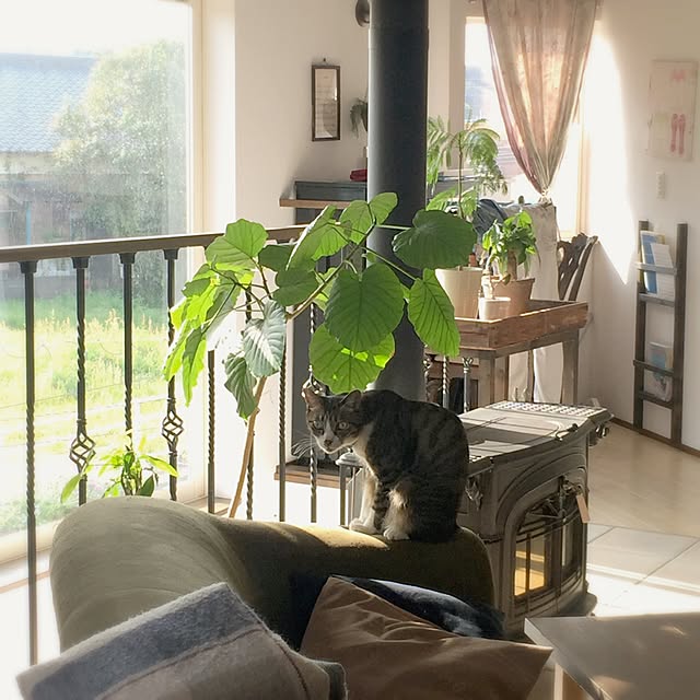 shio2772さんの実例写真