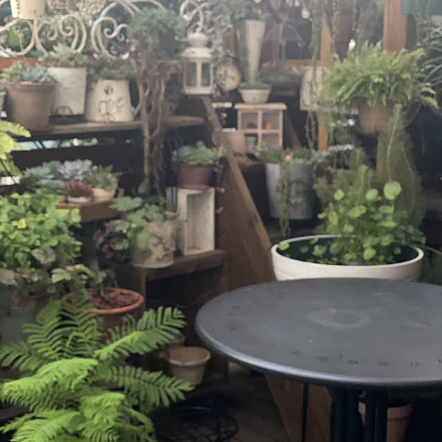 mintteaさんの部屋