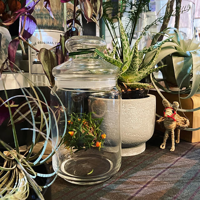 机/植物/1LDK/新入り/インダストリアル...などのインテリア実例 - 2025-01-12 18:10:20