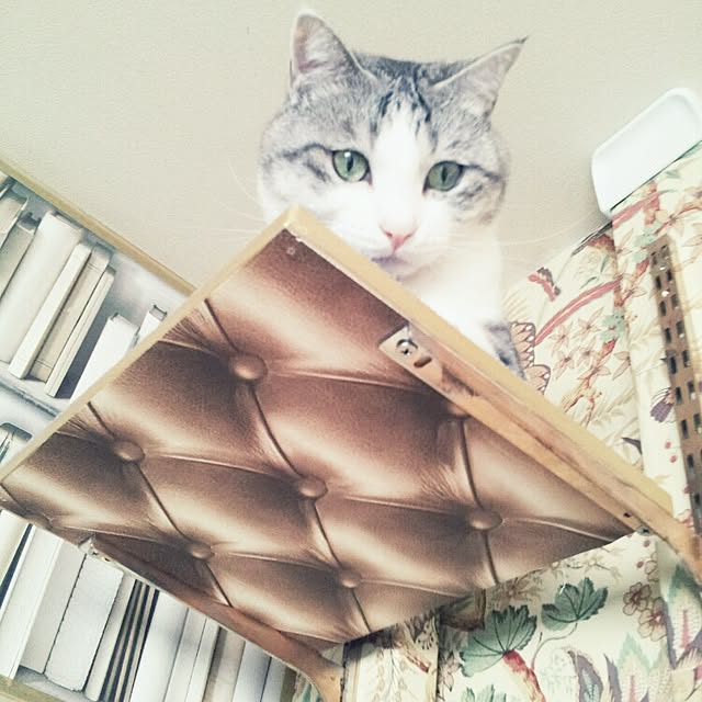 emmyyさんの実例写真