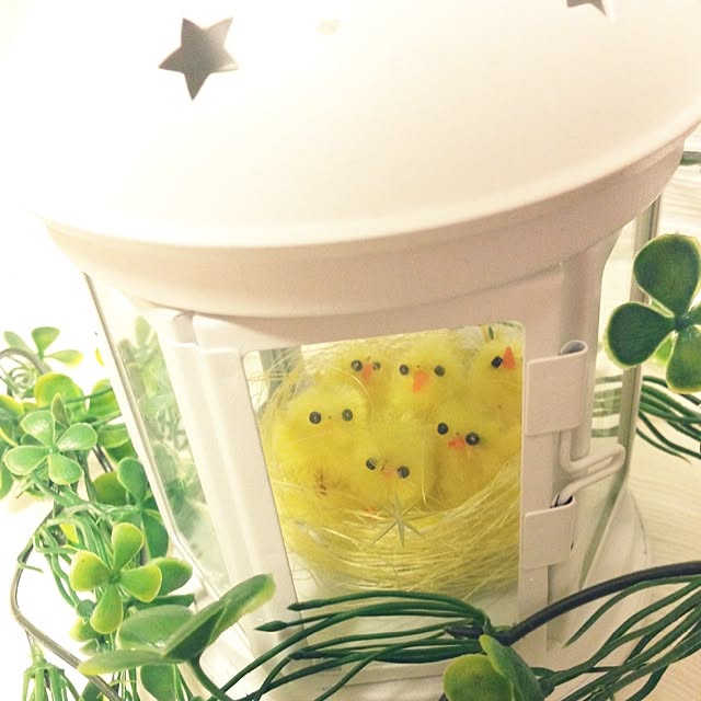 maruさんの実例写真
