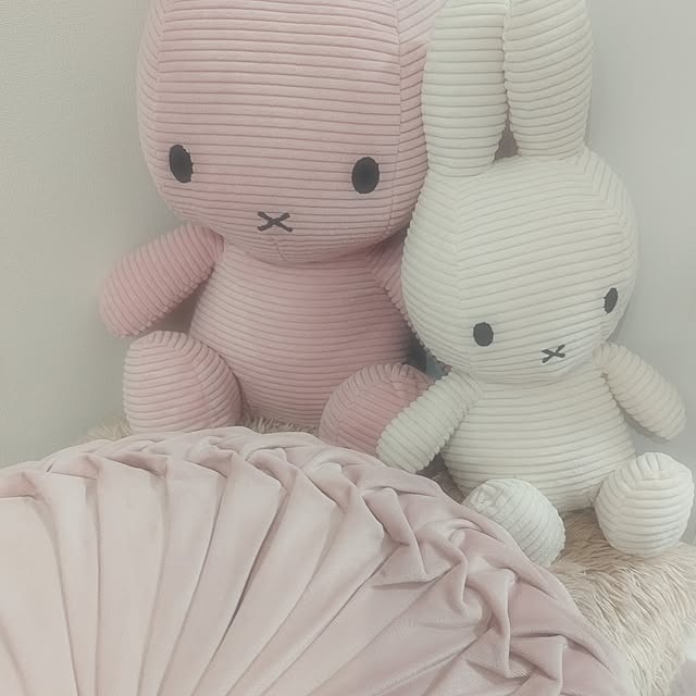 kaomelo12さんの実例写真