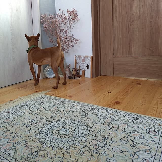 ri-eさんの実例写真