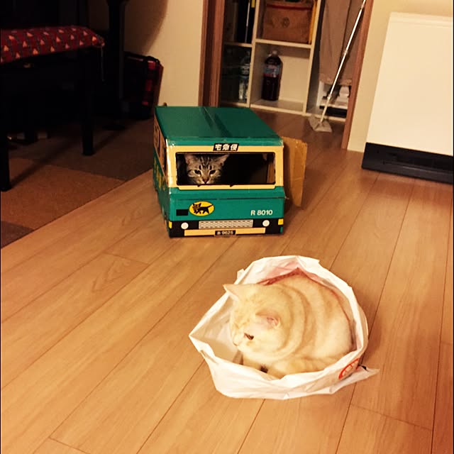 y.k.0123さんの実例写真
