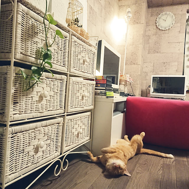 asuminさんの実例写真