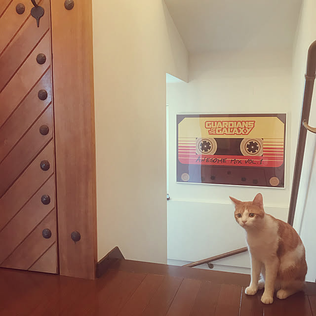 meさんの実例写真