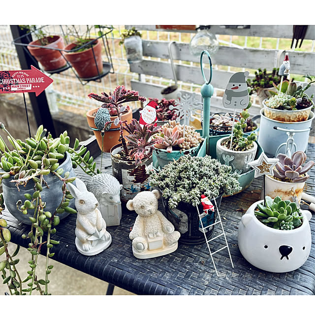 CoCo0617さんの実例写真