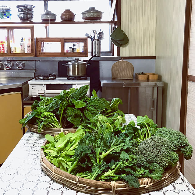 Takenoyaさんの実例写真