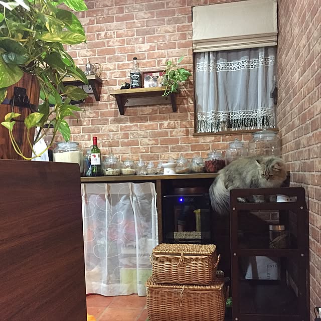 butachanさんの実例写真