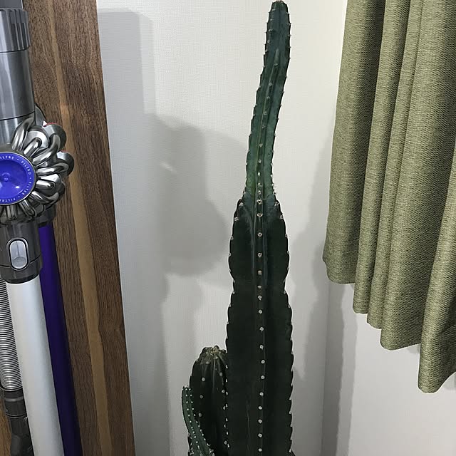 satatinさんの実例写真