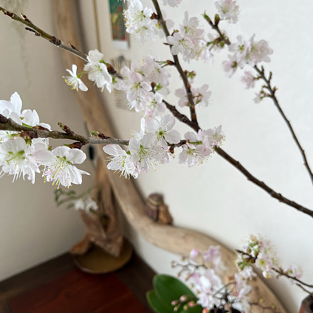 kuuさんの部屋
