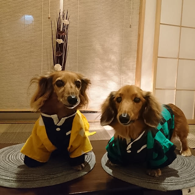 furukumaさんの実例写真