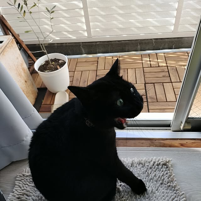 Tさんの実例写真