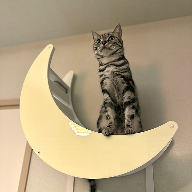 Yuki_with_a_tailさんの部屋