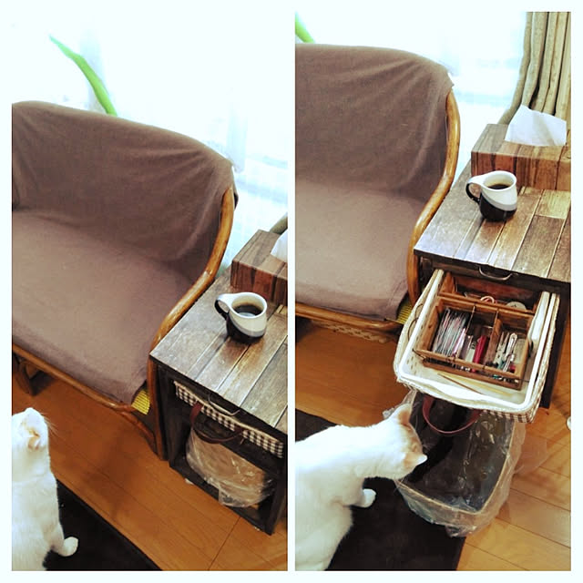 posauruさんの実例写真
