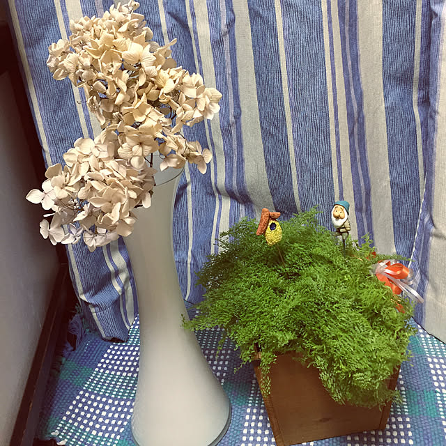 takakoさんの実例写真