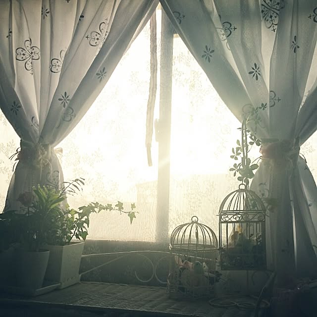 fu-ka24さんの実例写真