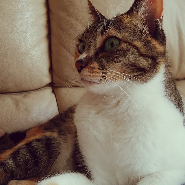 tomo1220さんの実例写真