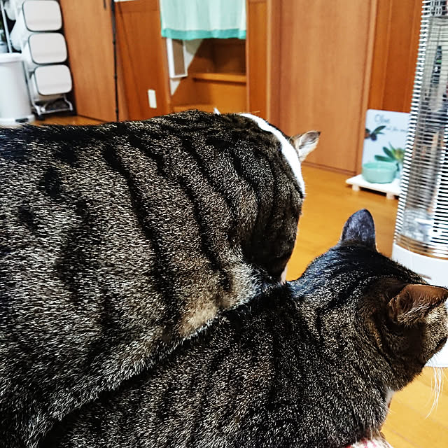 nachiさんの実例写真