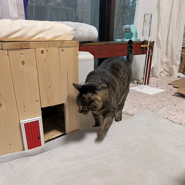 mori_6_12さんの部屋