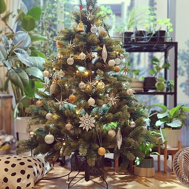 souさんの実例写真