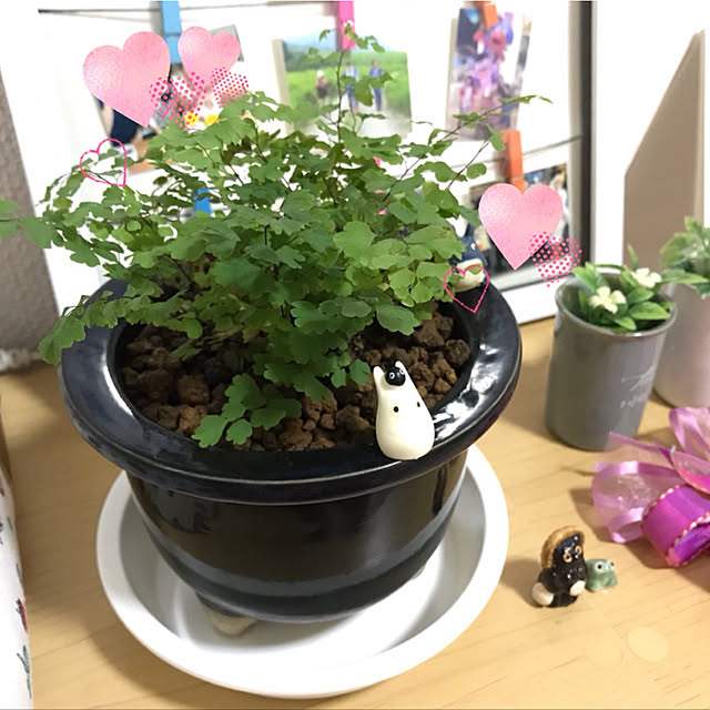 tomorrowさんの実例写真