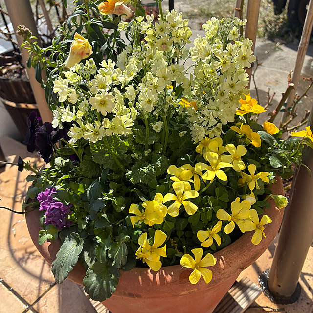 leepo5さんの実例写真