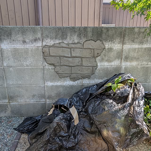 Meguさんの実例写真