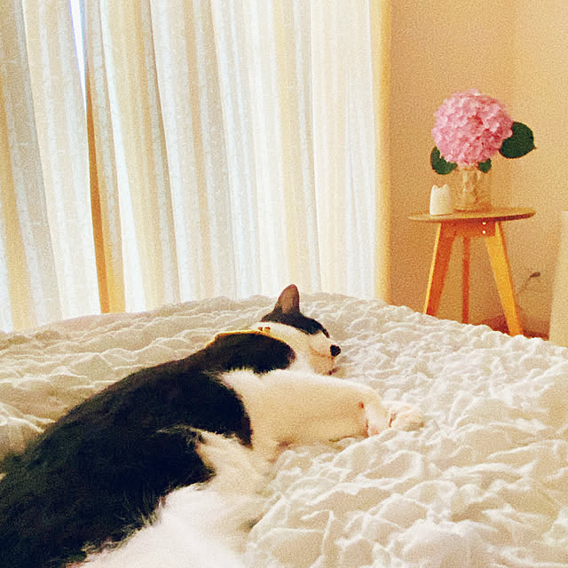 moolさんの部屋