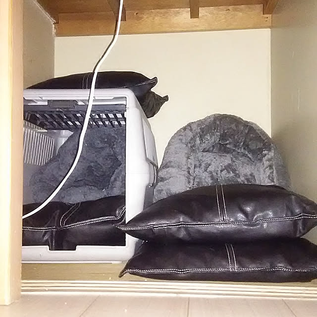 catloveさんの実例写真