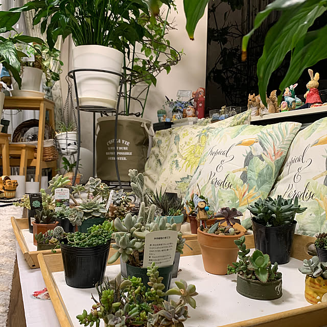 Aqettyさんの部屋