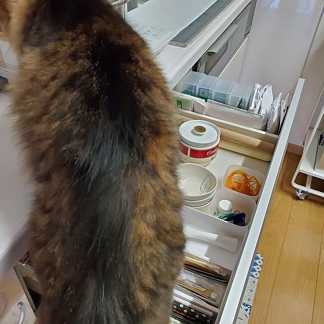 makoさんの部屋