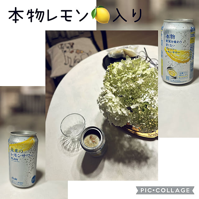 kittyさんの部屋