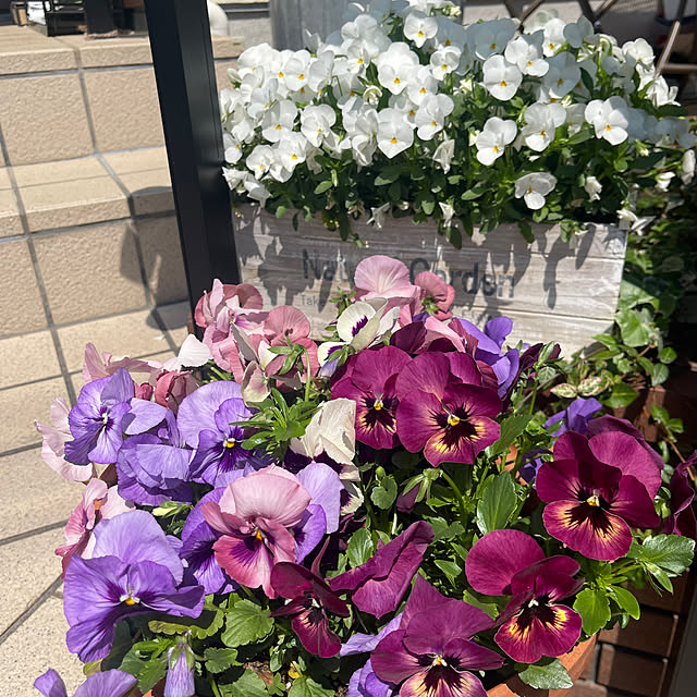 chikaさんの部屋