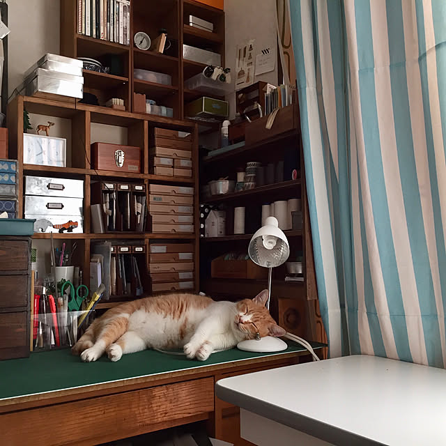 mokiさんの実例写真