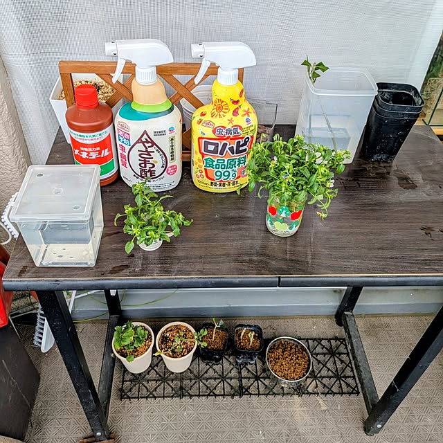 mi-saさんの実例写真