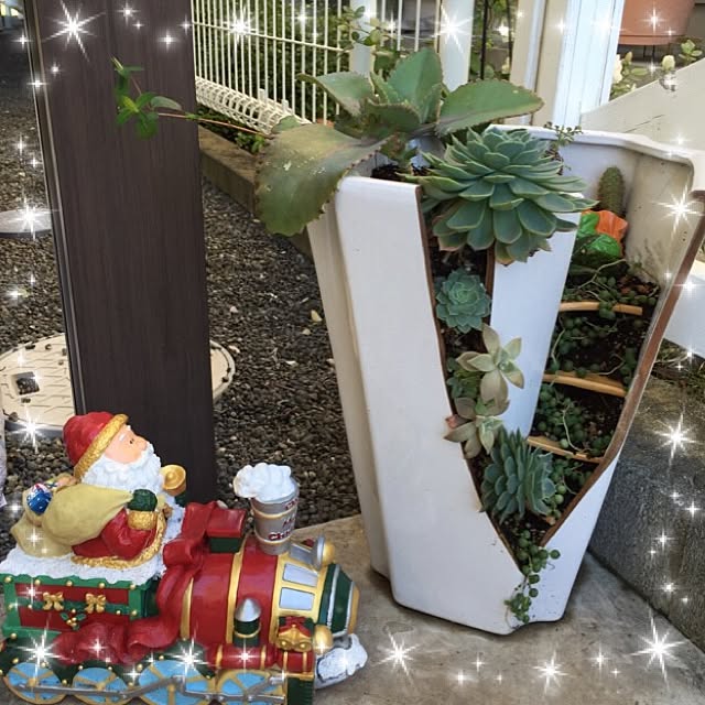 Marieさんの実例写真