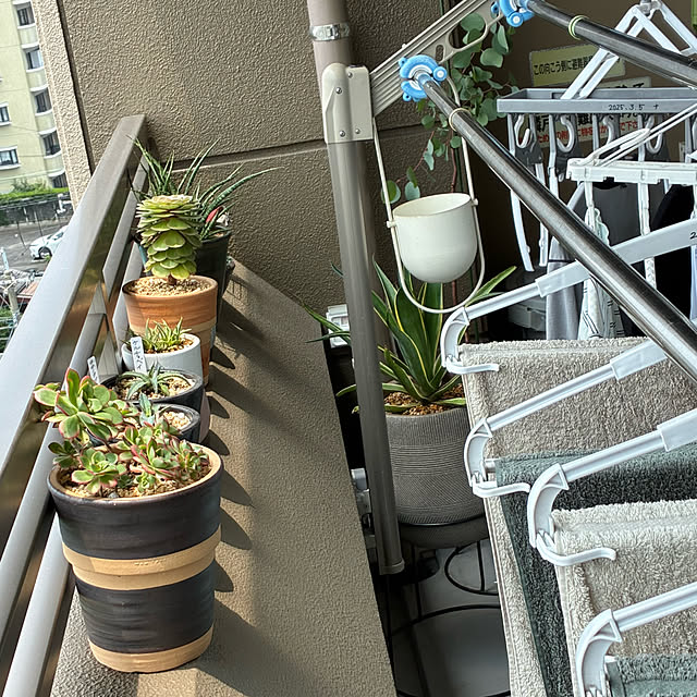 koshiregutyoさんの部屋