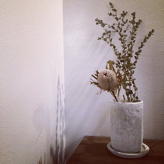 j.s___chamさんの実例写真