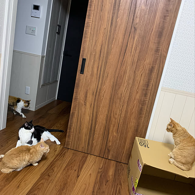 mikeume7さんの実例写真