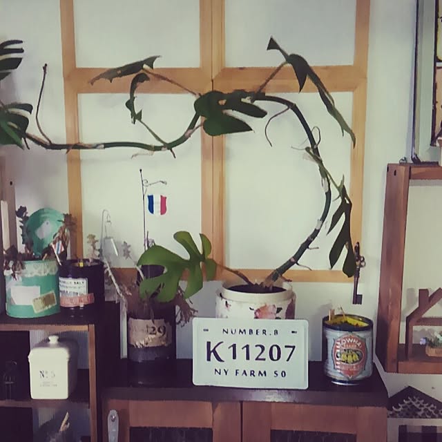chiyomin9713さんの実例写真