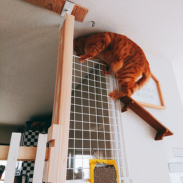 kikiさんの実例写真