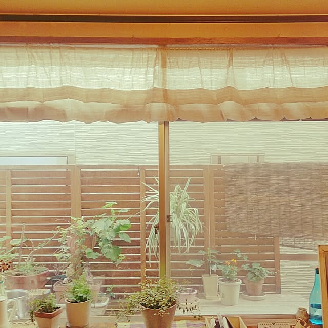madamtacoさんの実例写真