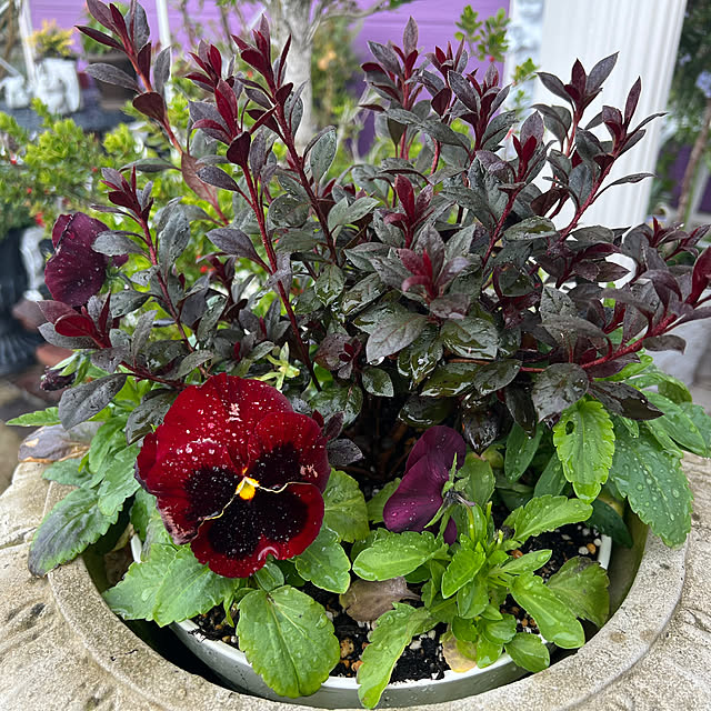 AYUKOさんの実例写真