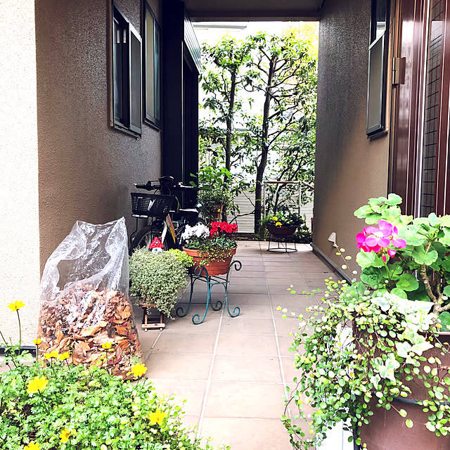 NAOさんの部屋