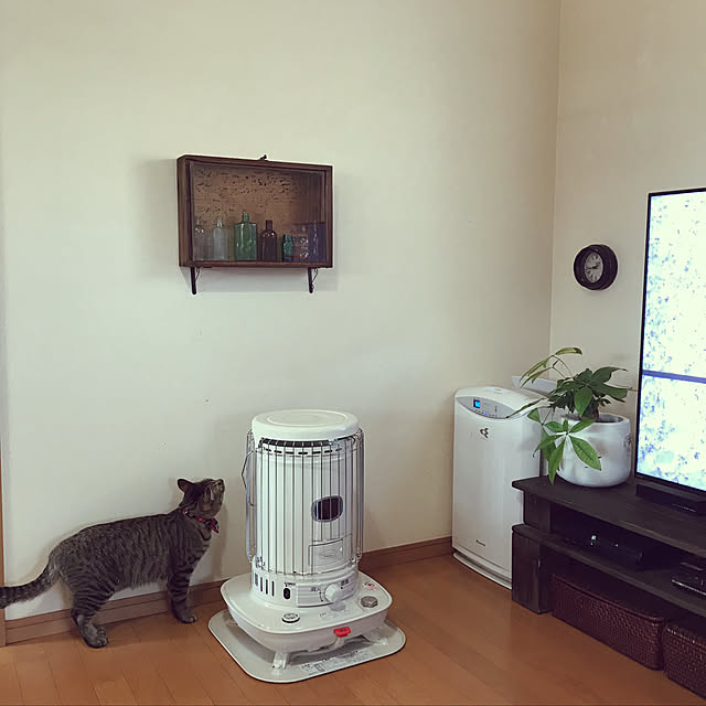 mikan161さんの実例写真