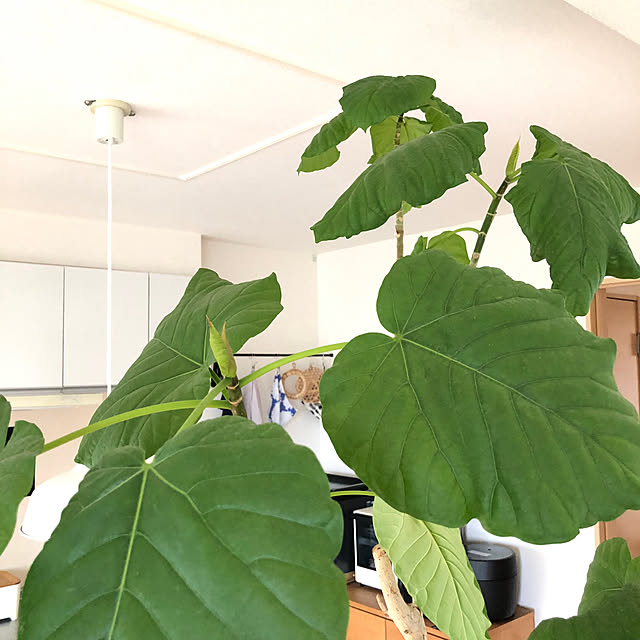 eriさんの部屋